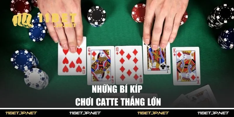Những bí kíp chơi Catte thắng lớn