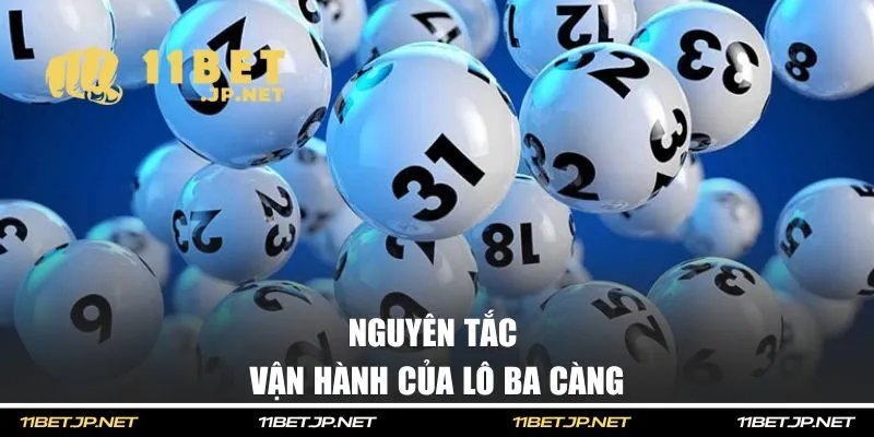 Nguyên tắc vận hành của lô ba càng